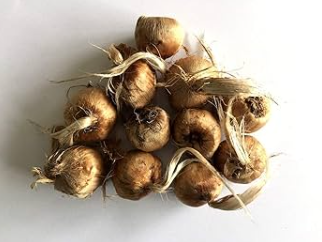 saffron-corms
